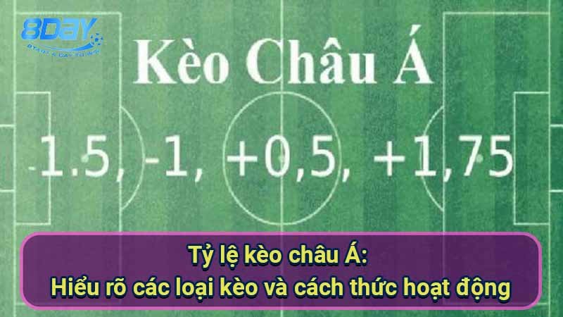 ty-le-keo-chau-a:-hieu-ro-cac-loai-keo-va-cach-thuc-hoat-dong