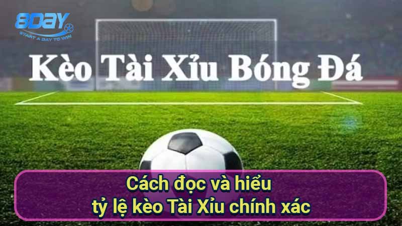 cach-doc-va-hieu-ty-le-keo-tai-xiu-chinh-xac